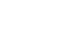 Logo Buss Audio
